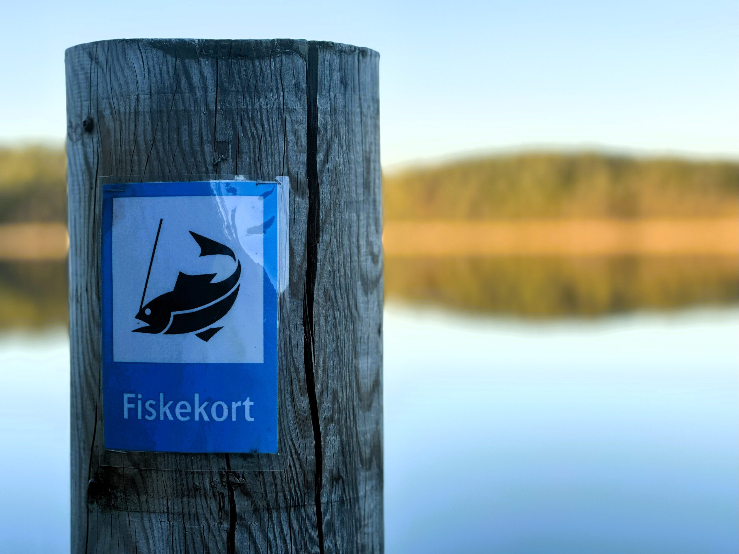 Fiskekort vid Grinnerödssjön på Backamo Lägerplats