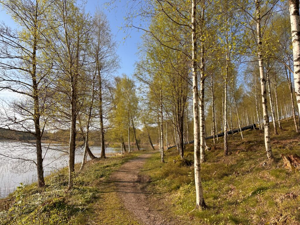 Strandstig längs Grinnerödssjön på Backamo Lägerplats