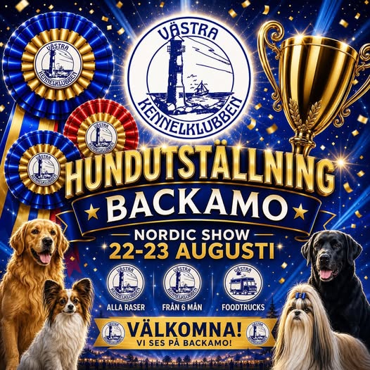Backamo bakluckeloppis arrangeras av Backamo Vänner